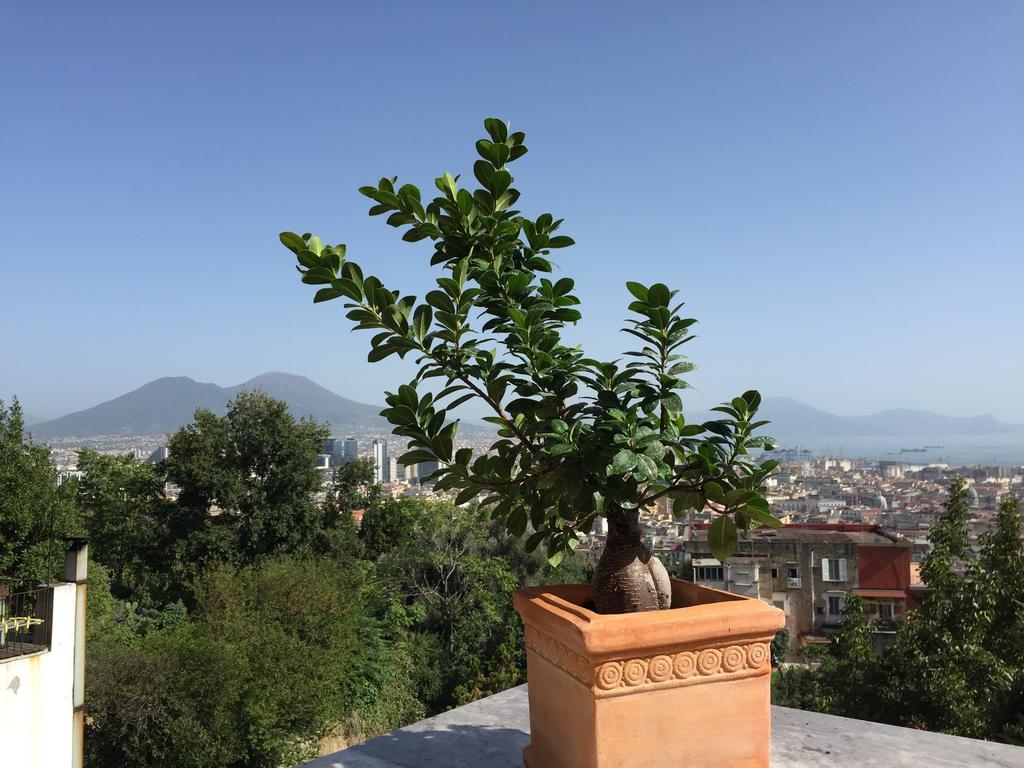 B&B La Veduta Naples Exterior photo